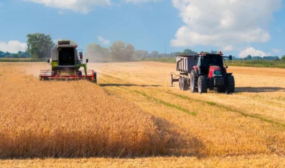 200 mila ettari in greening potranno essere riammessi a coltura