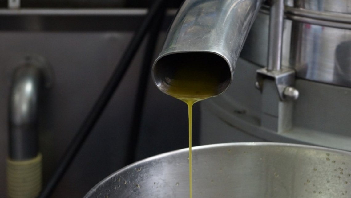 Regolare pH e quantità di acqua nella centrifuga verticale per ottenere più resa e qualità dell’olio extra vergine di oliva