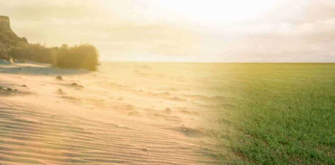 Fondi e disposizioni normative per affrontare siccità e futuro dell'agrticoltura