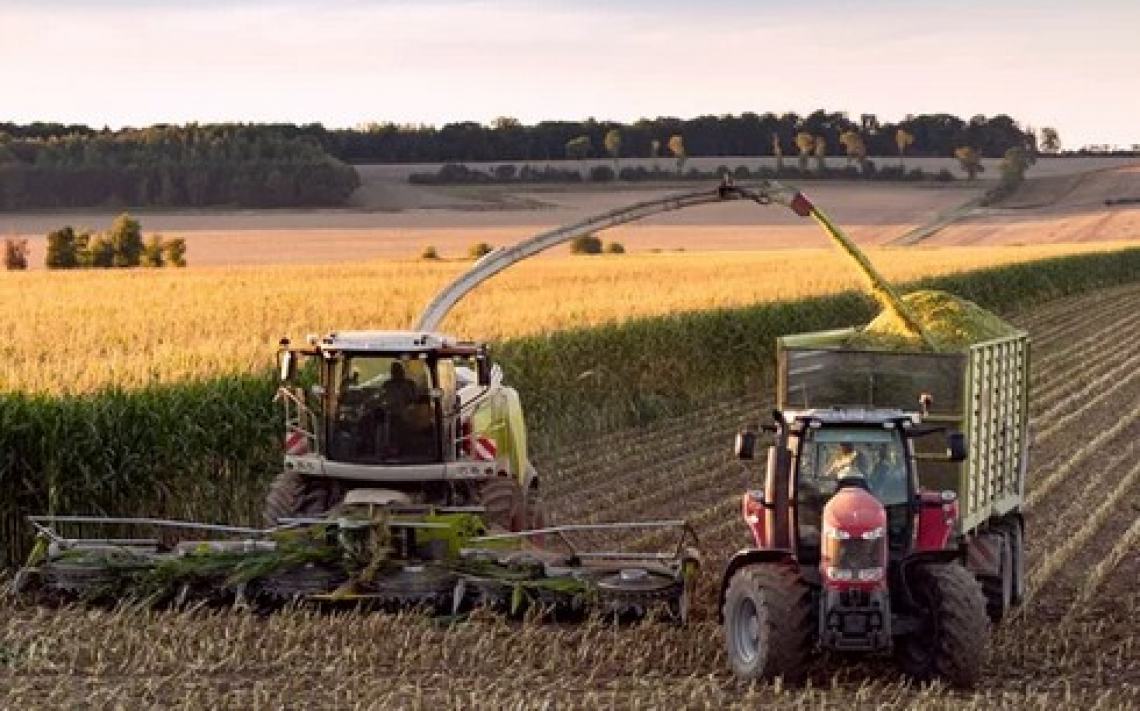 Addio alle piccole aziende agricole italiane
