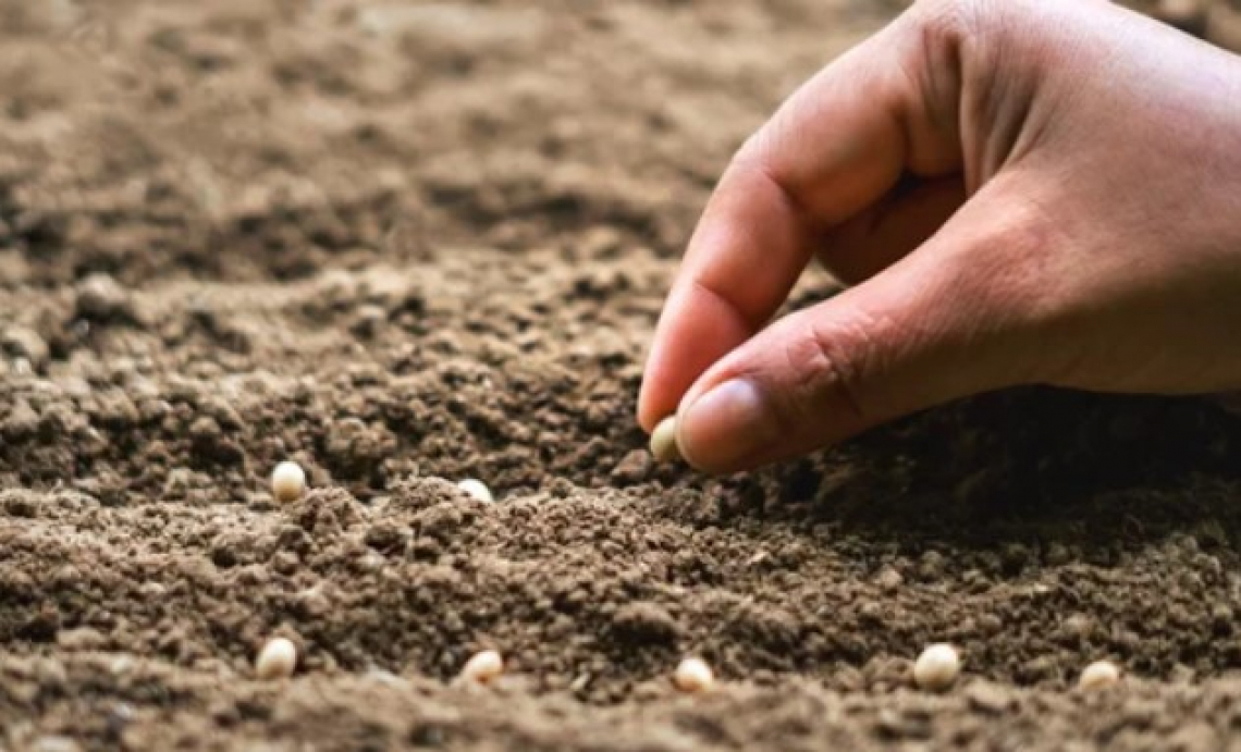 Occorre aumentare la produttività agricola per dare da mangiare alla popolazione mondiale