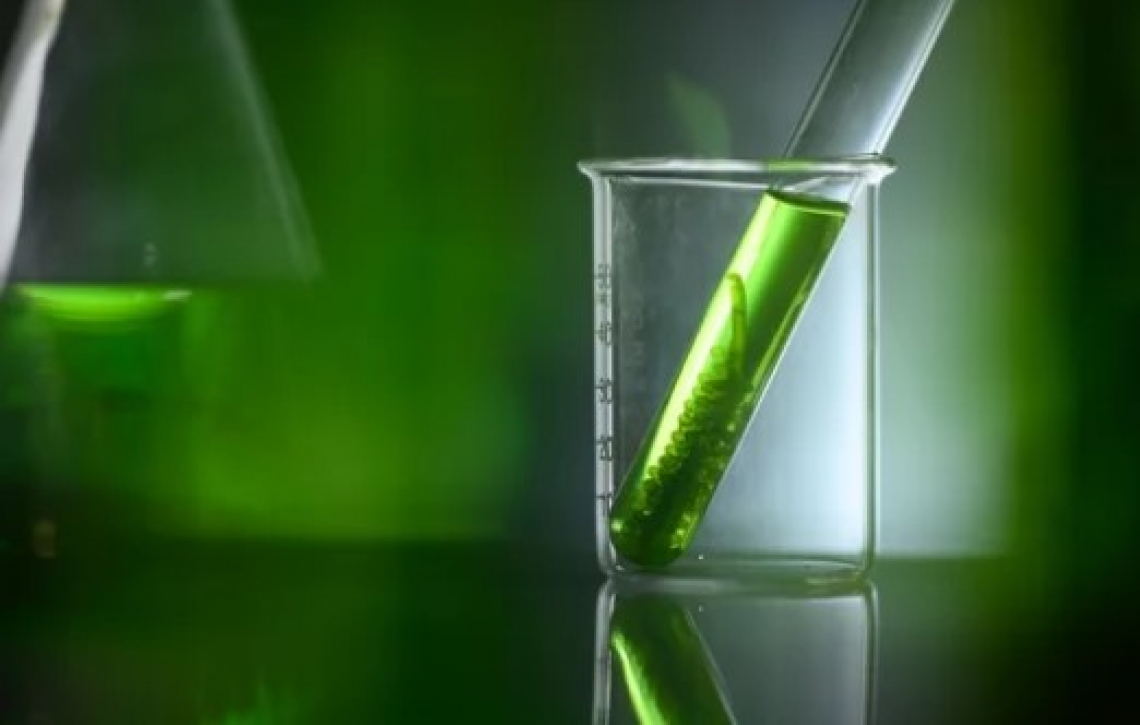 Le differenti risposte di olivo e vite all’applicazione di biostimolanti