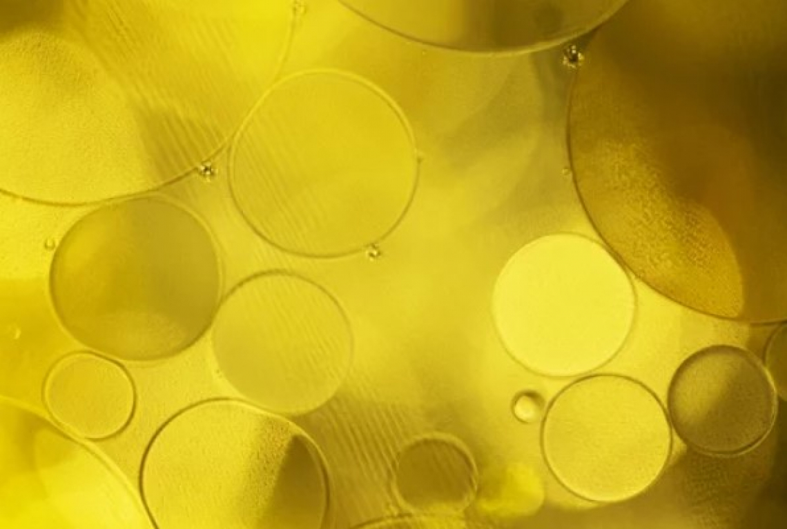 Le differenze nei parametri chimici e organolettici tra oli di oliva filtrati e non filtrati