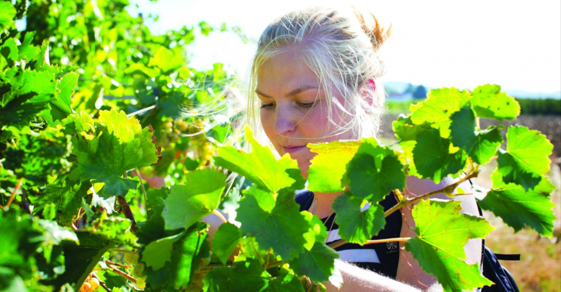 L’Università di Scienze Gastronomiche di Pollenzo potenzia la didattica del vino