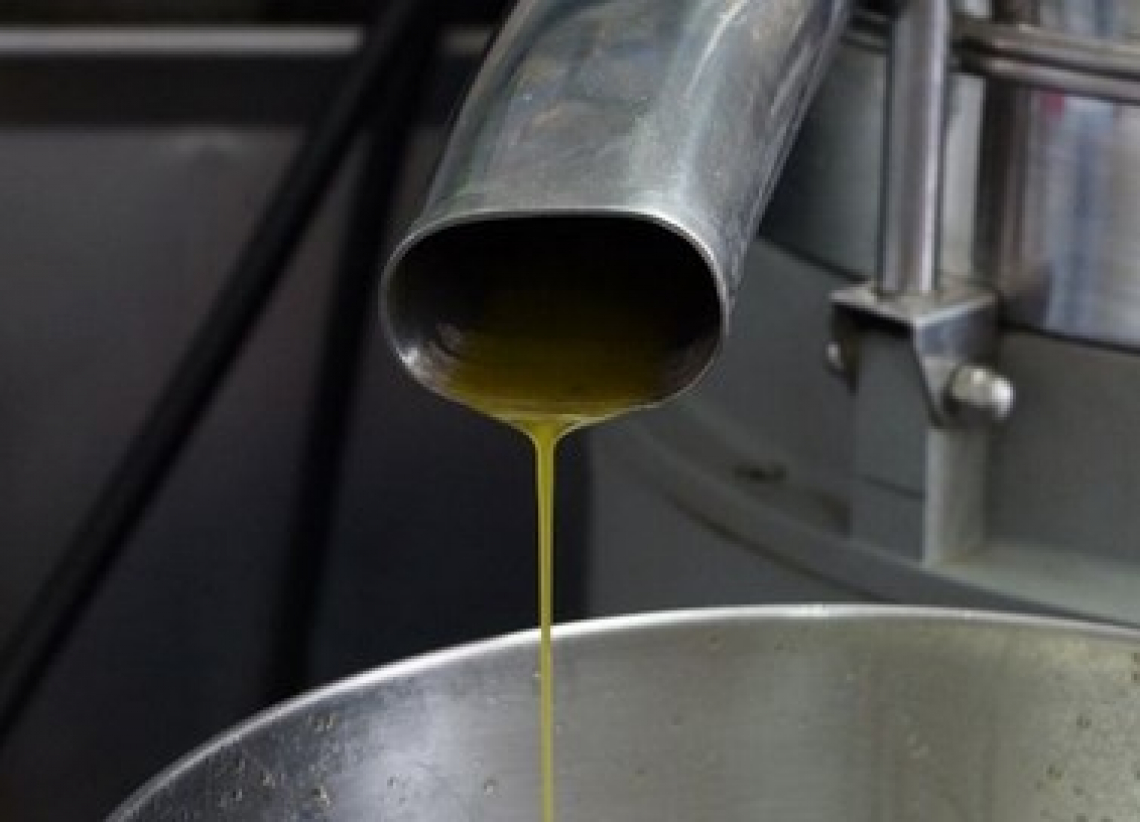 Aumentare la resa del 5,5% su olive verdi grazie allo scambiatore di calore sonico