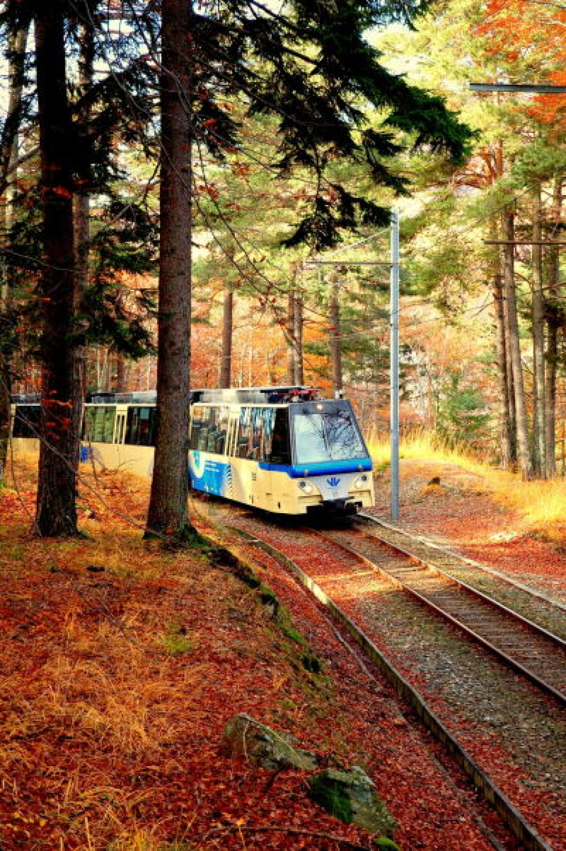 Torna la magia del Treno del Foliage®: tra Italia e Svizzera un percorso slow e panoramico