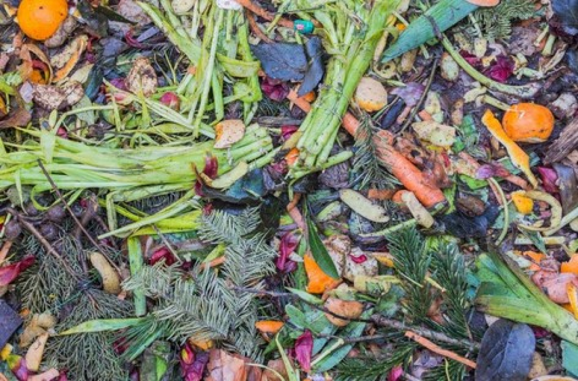 Italiani consapevoli sullo spreco alimentare