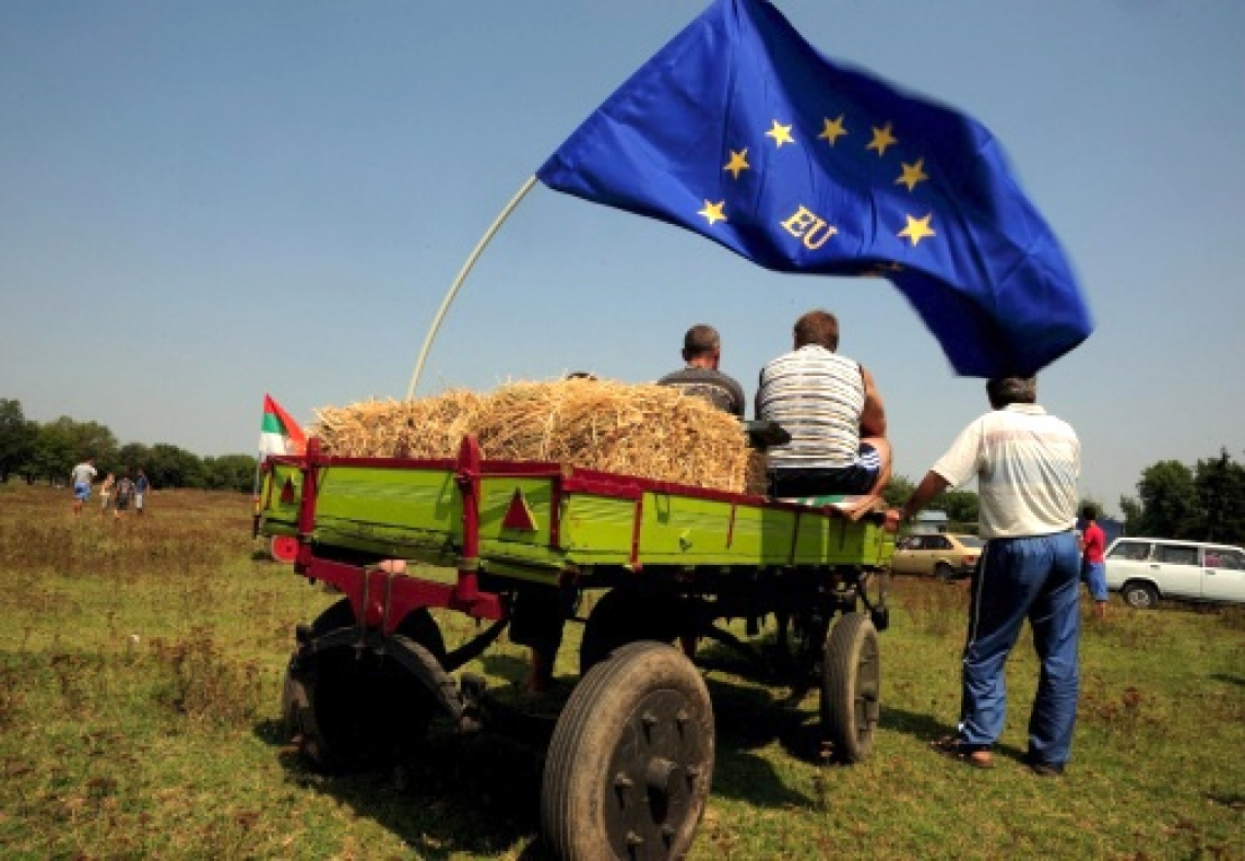 Scende il numero di giovani imprenditori agricoli in Italia