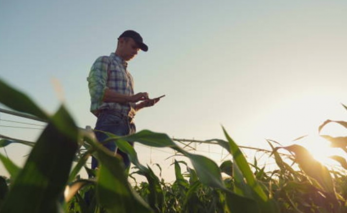 Prezzi per energia e fertilizzanti fuori controllo per l’agricoltura europea