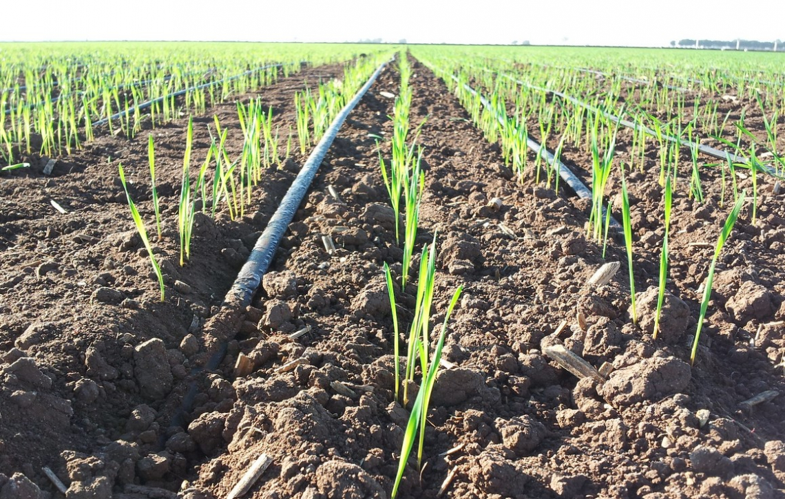 500  milioni di euro per strutture irrigue in Italia