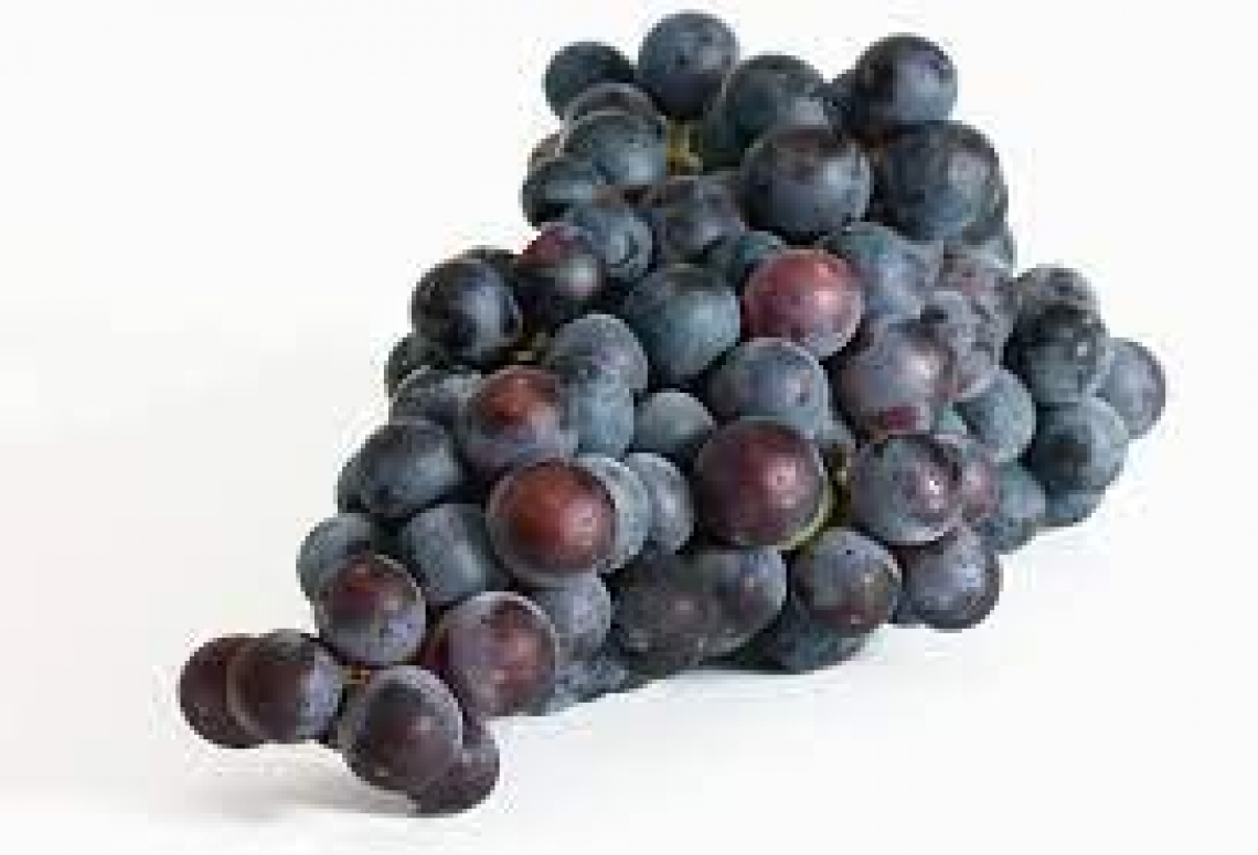L'effetto di irrigazione in deficit e diradamento su Cabernet Sauvignon
