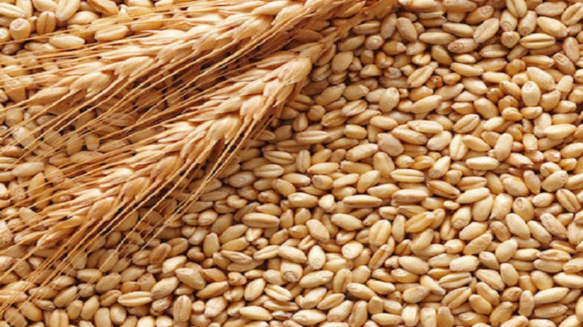 Si aspetta una maggiore volatilità dei prezzi dei prodotti alimentari