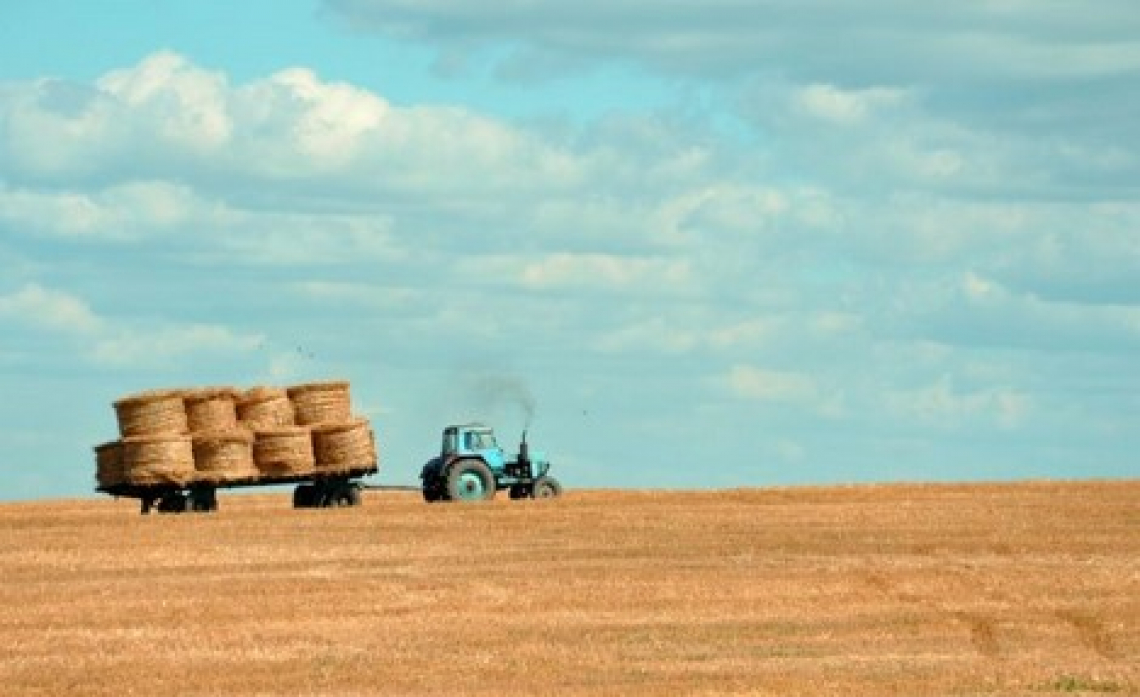 La vera incidenza ambientale dei vari settori agricoli sul pianeta