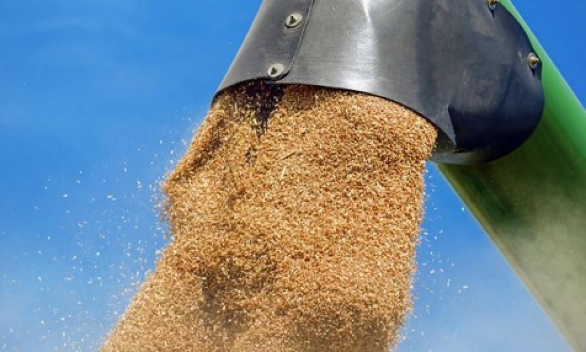 Tira e molla sull'accordo sul grano tra Ucraina e Russia