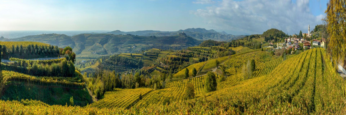 Terroir complessi per prodotti eccezionali: Heroes of Europe: Volcanic Agriculture