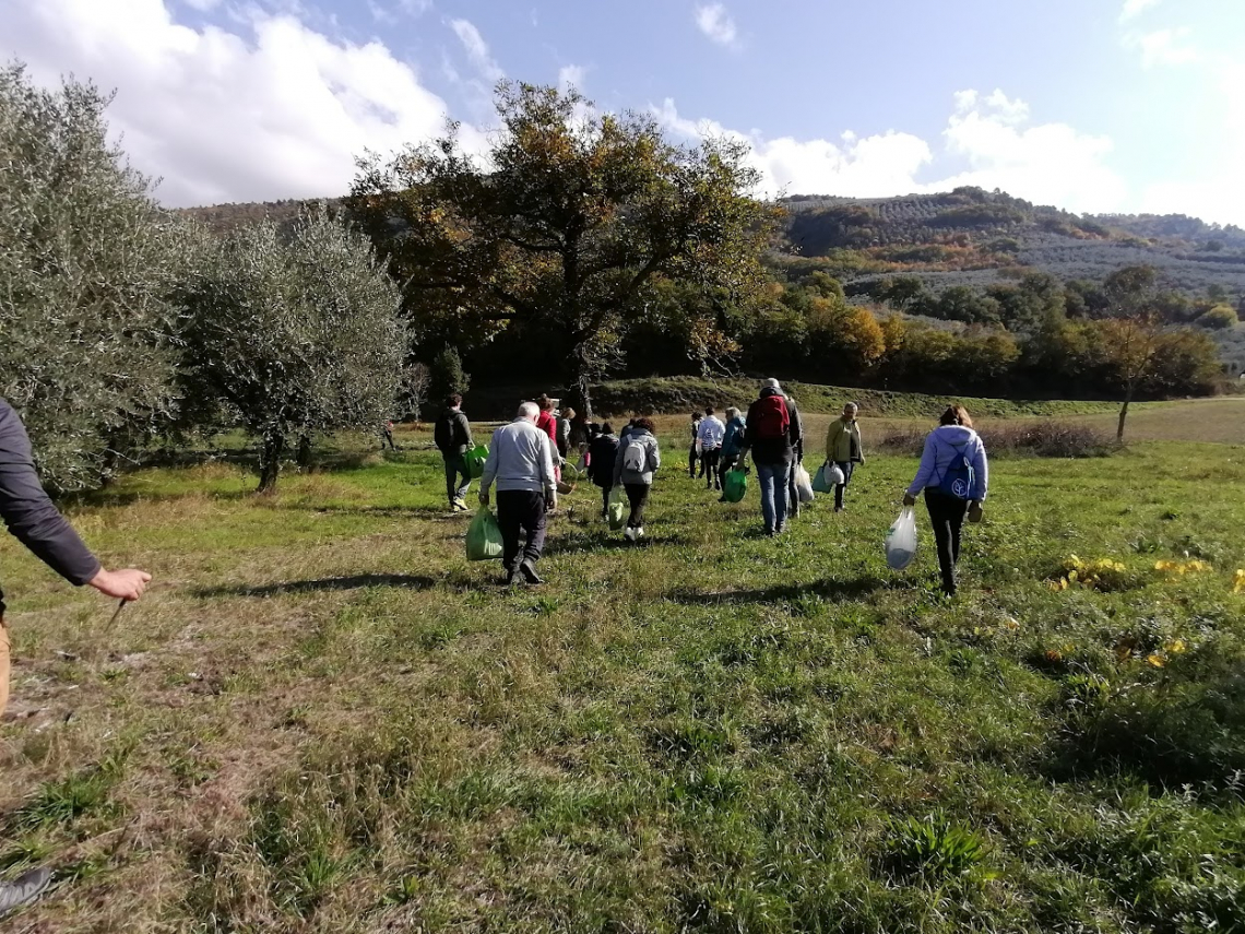 Amor d'olio: proseguono gli itinerari di gusto in Valnerina tra gli ulivi ed il foliage autunnale