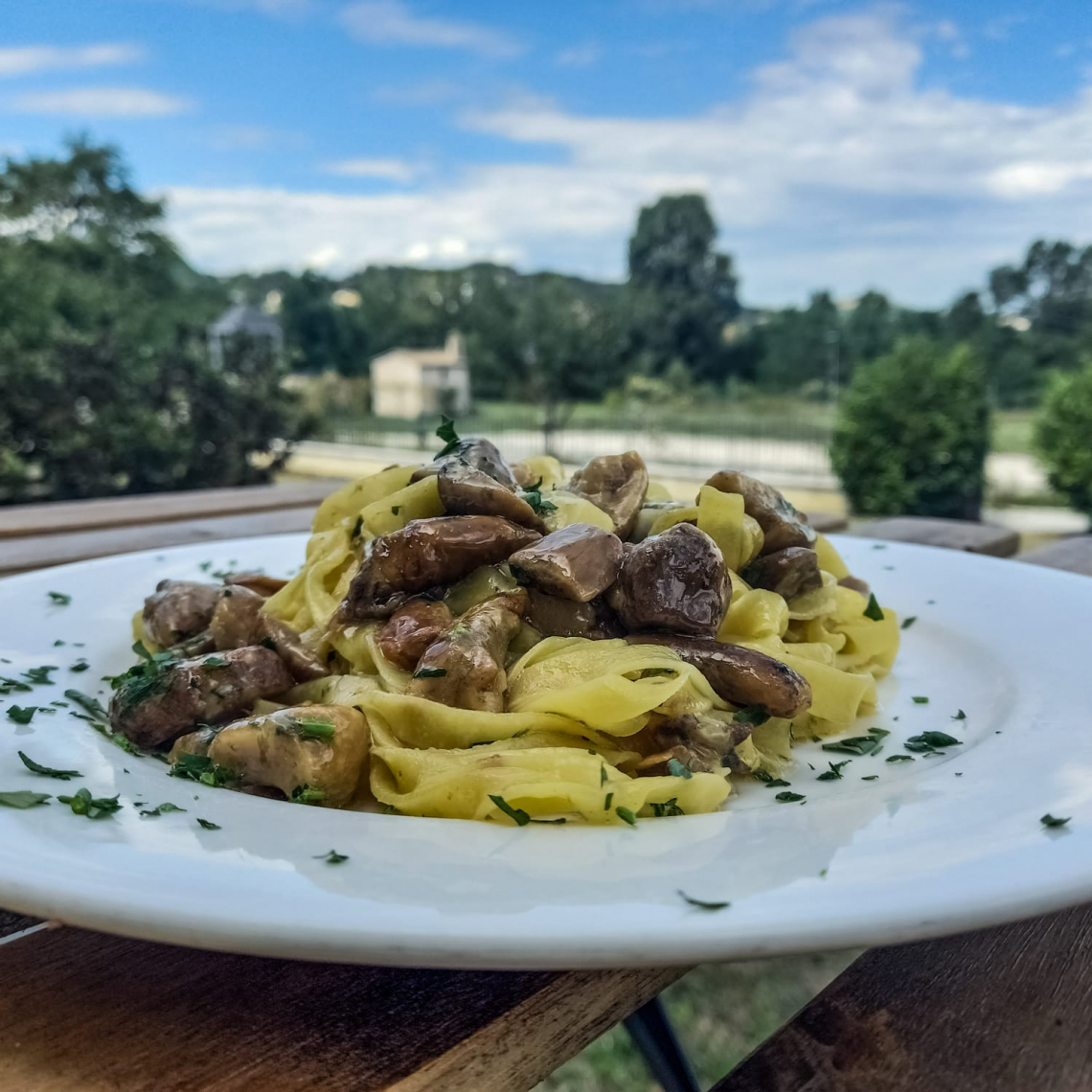 Il Grand Tour delle Marche fa tappa nelle Alte Marche con: Cagli, Terre del fungo