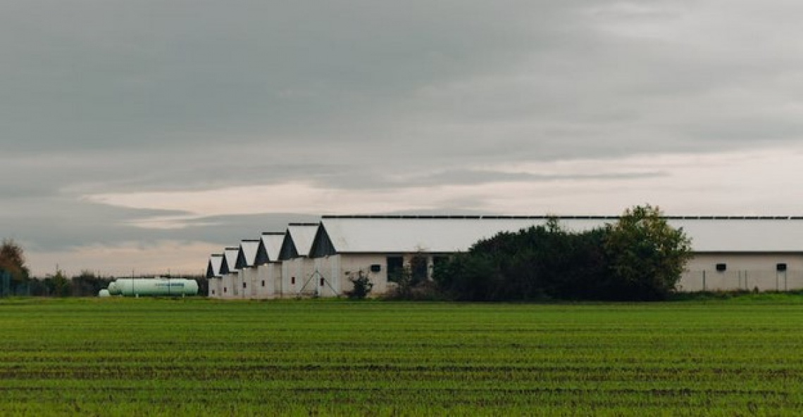 Sicurezza sul lavoro: serve norma specifica per l'agricoltura