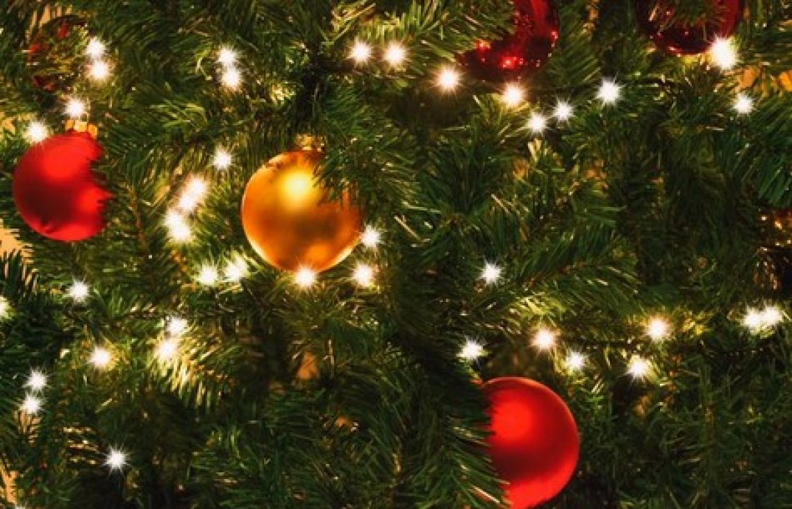 I segreti del profumo dell’Albero di Natale