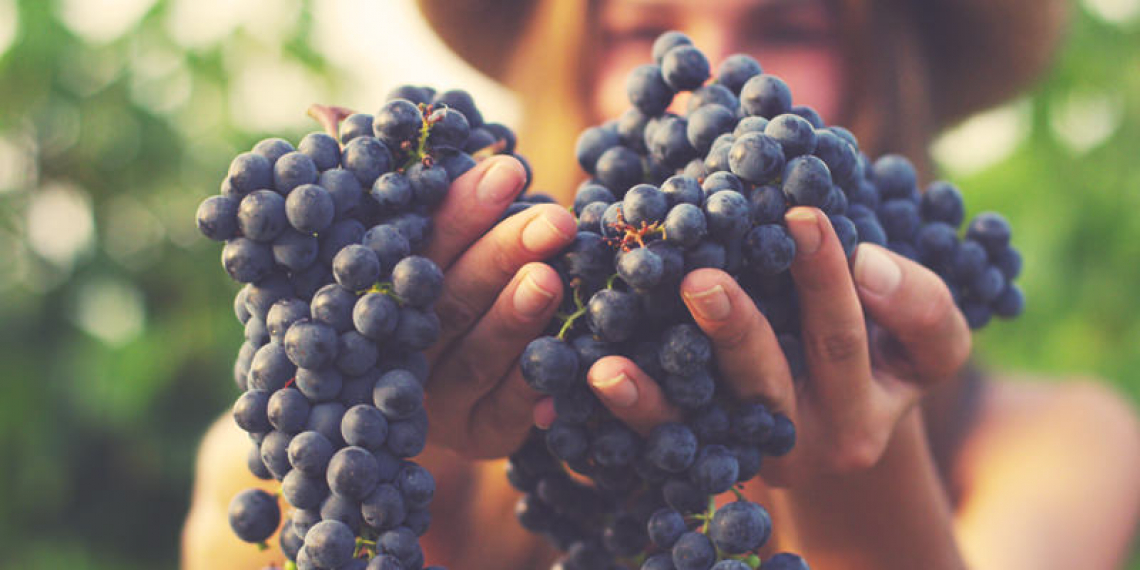 Italia-Spagna-Francia: risposte comuni alle sfide del settore vitivinicolo