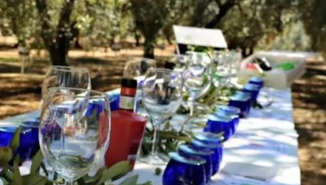 I segreti dell'oleoturismo, per un'offerta in linea con la legge