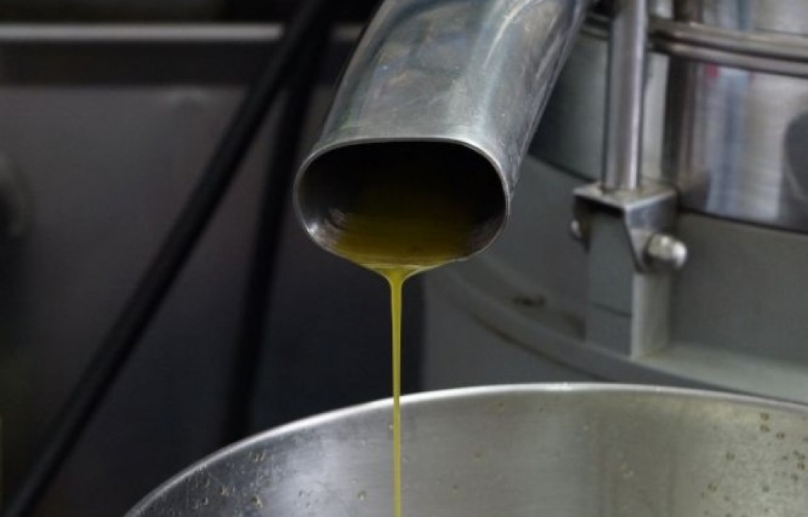 L’olio extra vergine di oliva italiano non mancherà: prezzi fermi