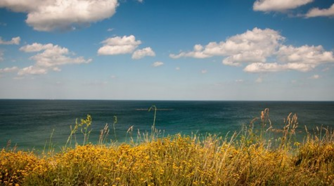 Il Mediterraneo è a rischio per i cambiament climatici