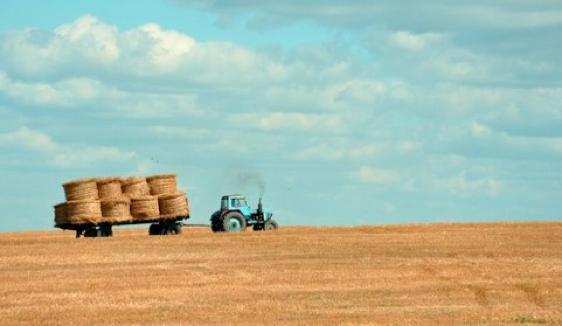 15 milioni di euro per l'agricoltura ucraina da Fao e Unione europea