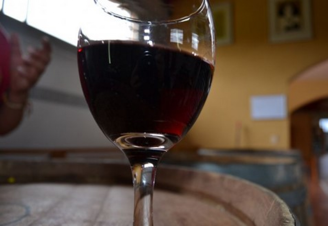 Ridurre la concentrazione di ocratossina A nel vino direttamente in cantina