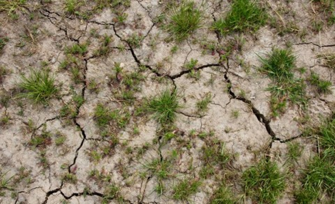 Eventi climatici estremi: l'effetto del riscaldamento globale