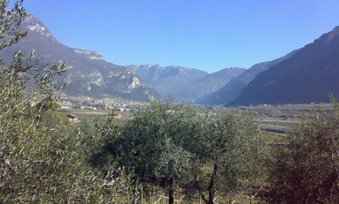 Le prospettive per l'olivicoltura nel Nord Italia