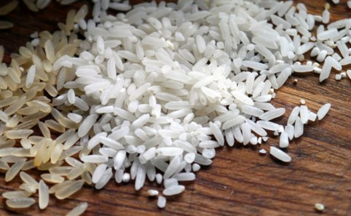 Le sementi di riso certificate per l'agricoltura italiana controllate dal Crea