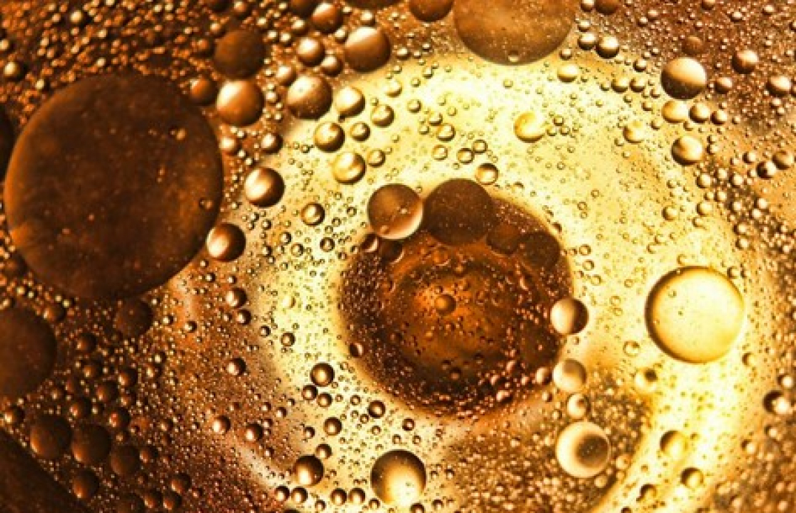 Gli industriali dell'olio di oliva chiedono unità