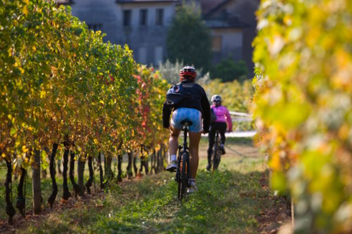 Primavera del Prosecco Superiore 2023: tante novità per la XXVIII edizione della rassegna delle Colline dell'Alta Marca Trevigiana