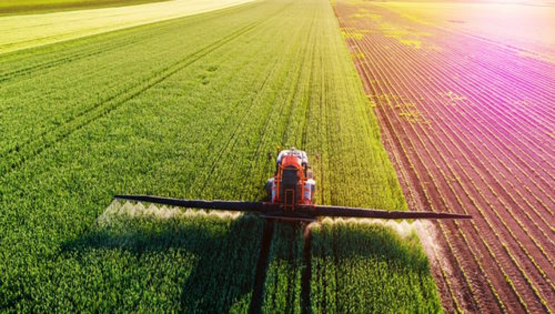 Cala la produzione agricola nazionale