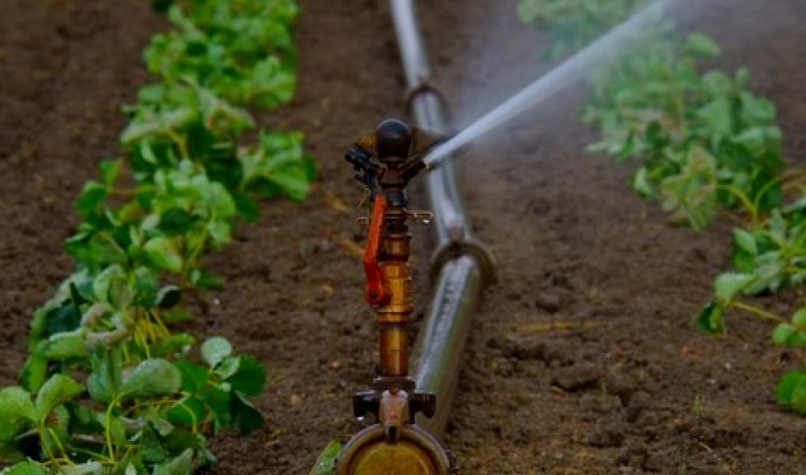 Difesa del suolo e irrigazione digitale per l’agricoltura e contro la crisi idrica