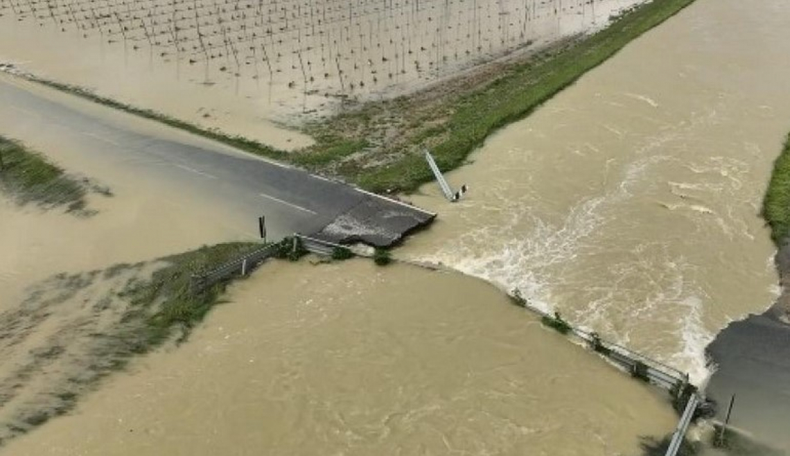 Alluvione in Emilia Romagna: 10 milioni di piante da frutto da estirpare