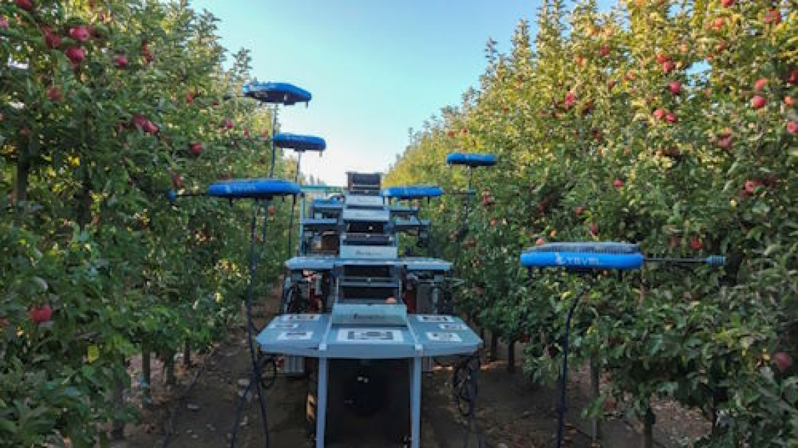Robot raccolgono mele con successo