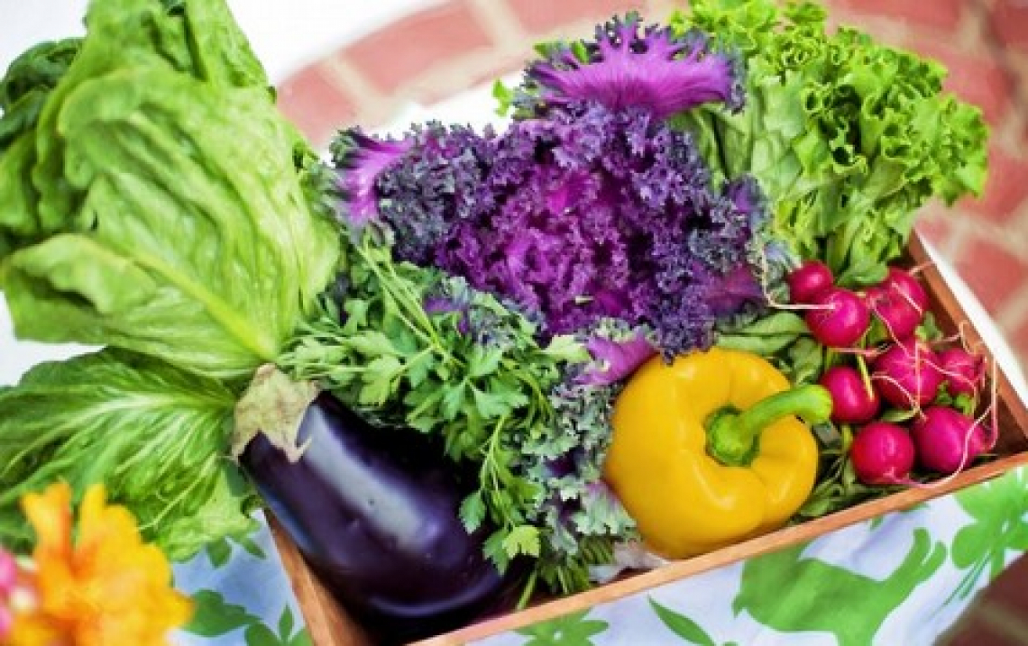 A Roma e dintorni si promuove l'agroecologia