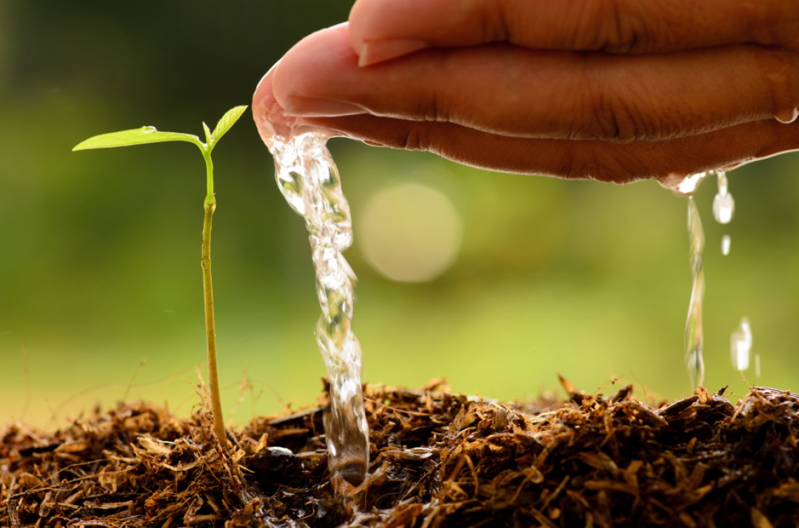 Il futuro dell'agricoltura rigenerativa per il Green Deal