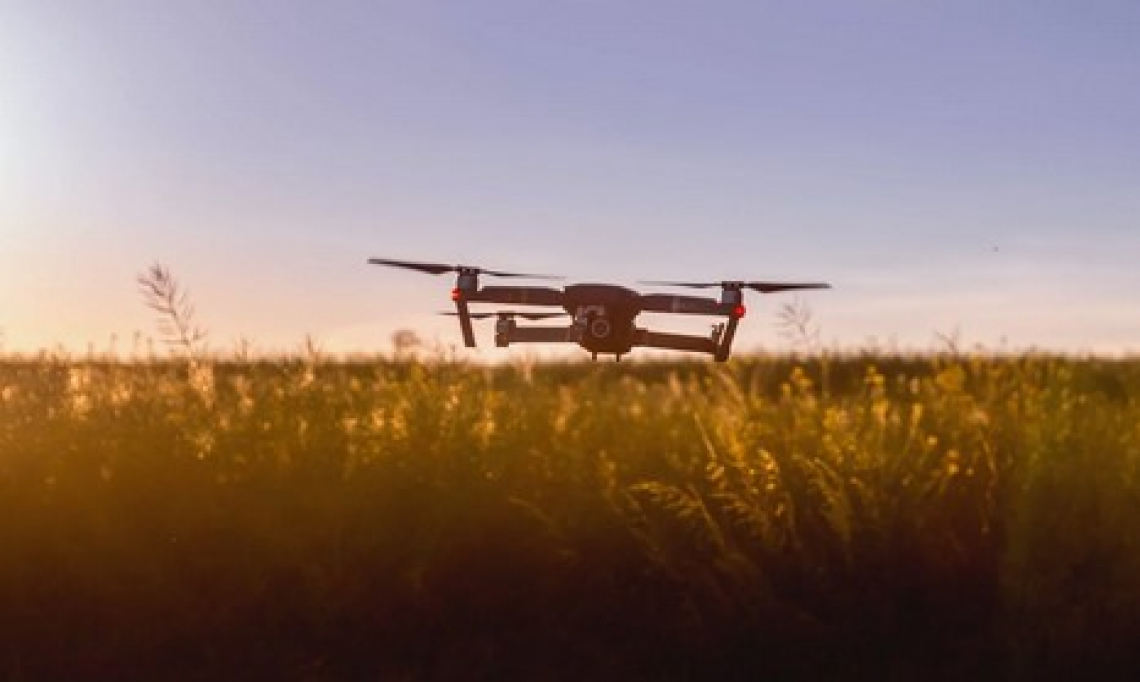 Georgofili su Instagram: Vi racconto l’agricoltura