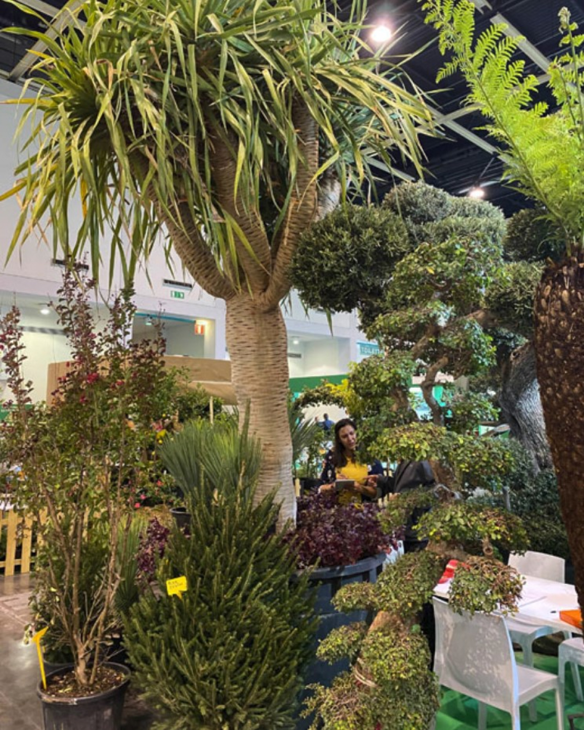 La xiloteca a Flormart: oltre 240 specie di legno da tutto il mondo