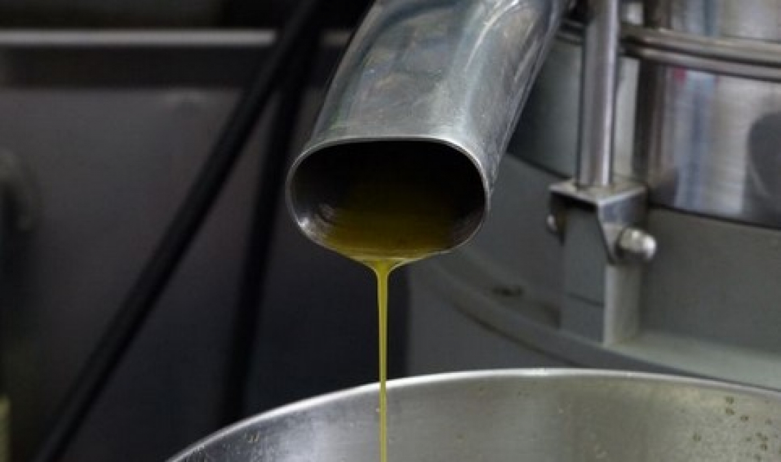I prezzi dell’olio extravergine di oliva negli ultimi anni