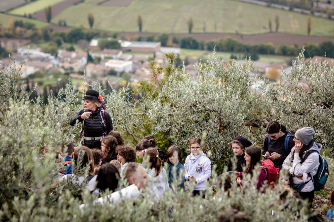 Frantoi Aperti in Umbria 2023: dal 28 ottobre al 26 novembre