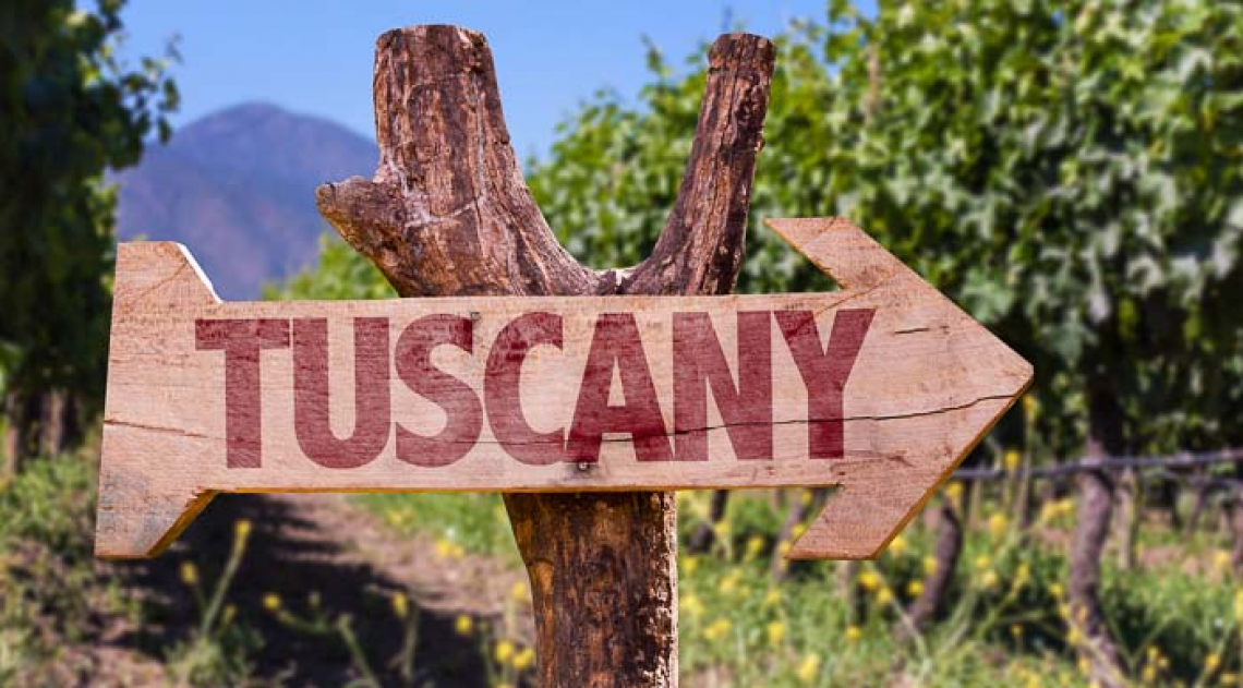 La vendemmia fa volare le prenotazioni turistiche
