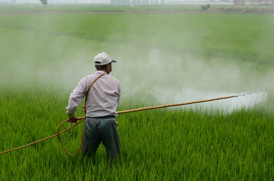 Pronto il rinnovo per i prossimi 10 anni del glifosato