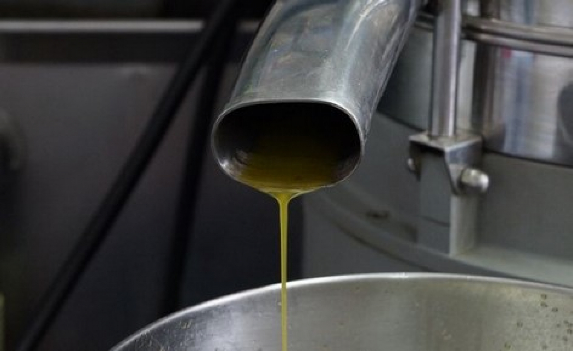 L’influenza della velocità del frangitore del frantoio sulle caratteristiche dell’olio extra vergine d’oliva