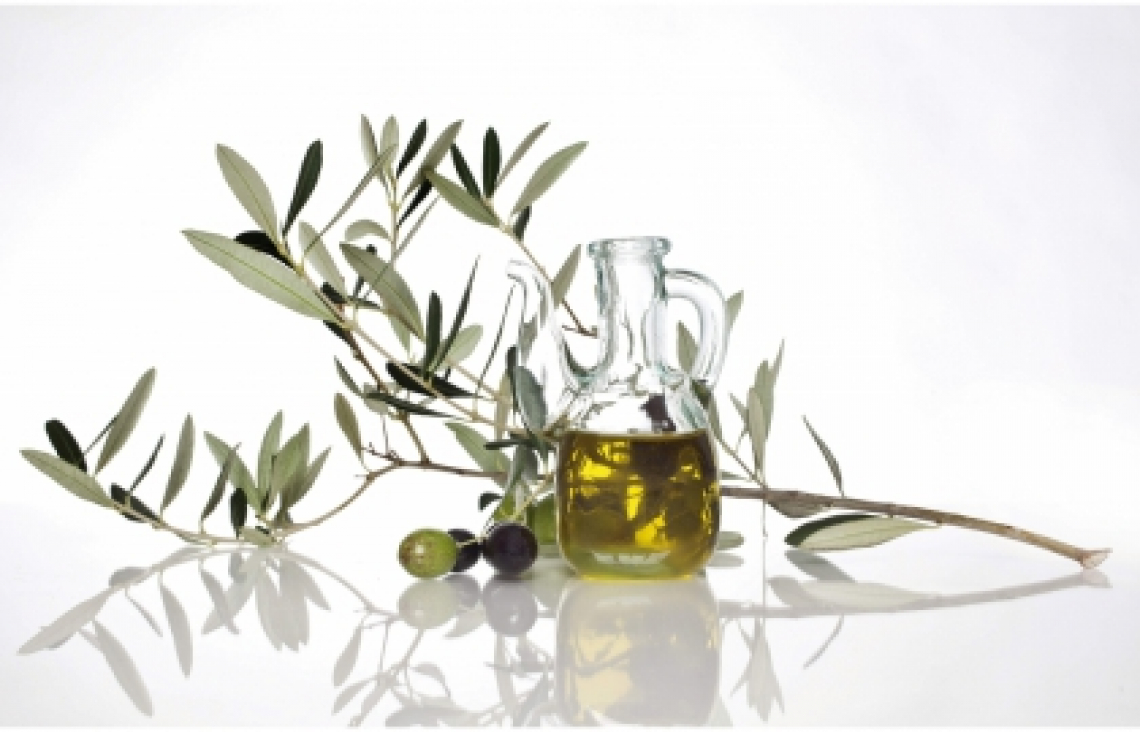 L’olio extra vergine di oliva inibisce la crescita dell’Helicobacter pylori quale causa di lesioni alla mucosa gastrica