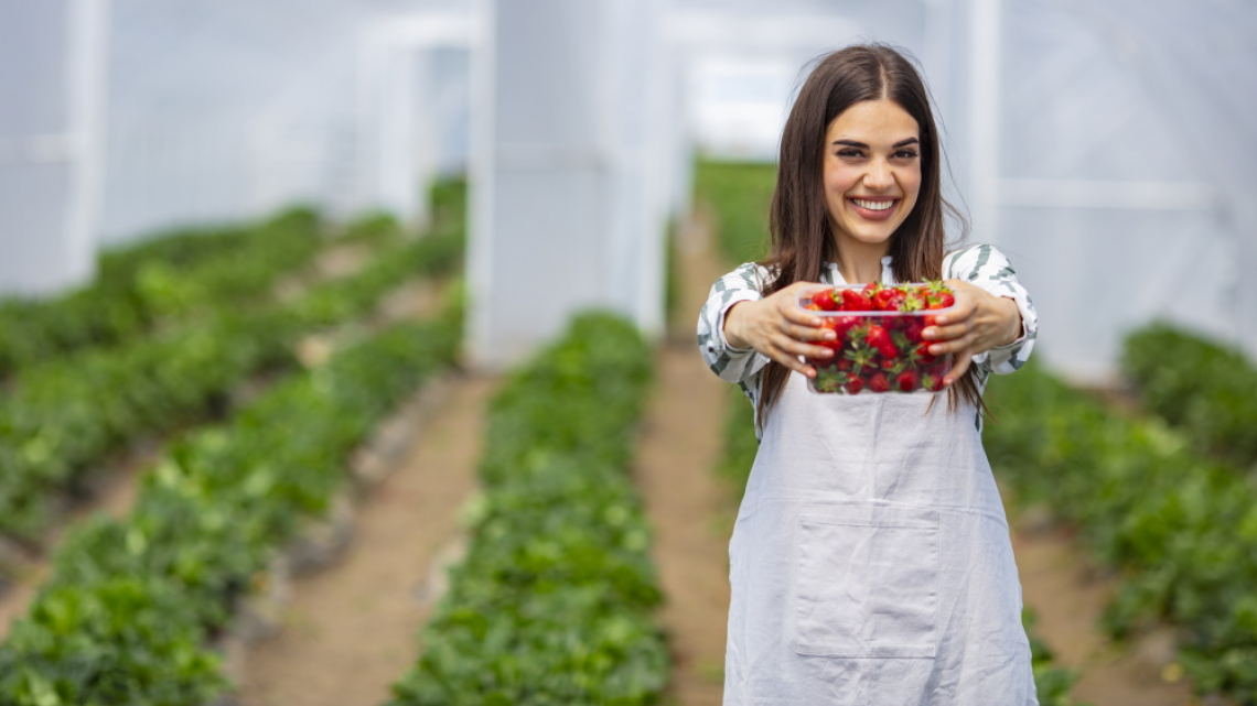 La Toscana è la regina dell'agricoltura biologica in Italia