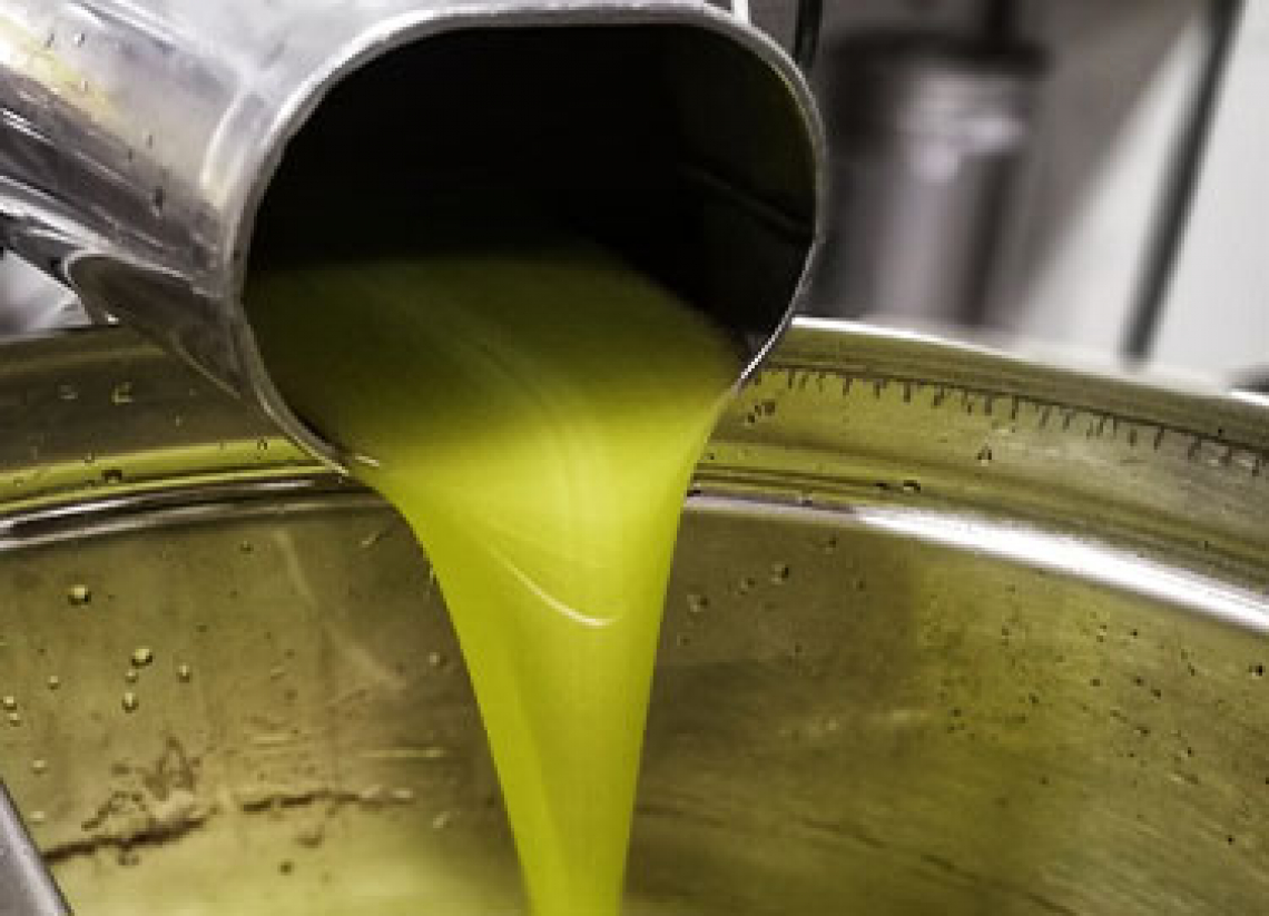 L’effetto della centrifugazione verticale sulle caratteristiche e qualità dell’olio extra vergine di oliva